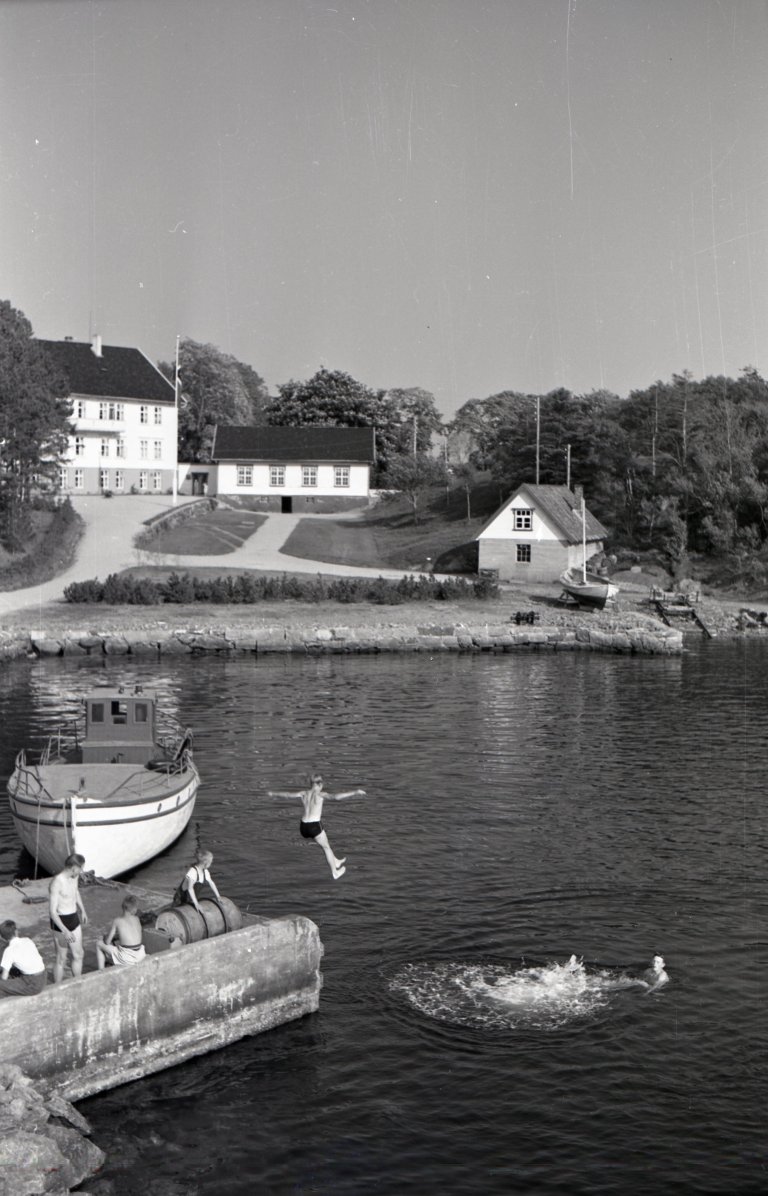 SAS1981_7_44279
