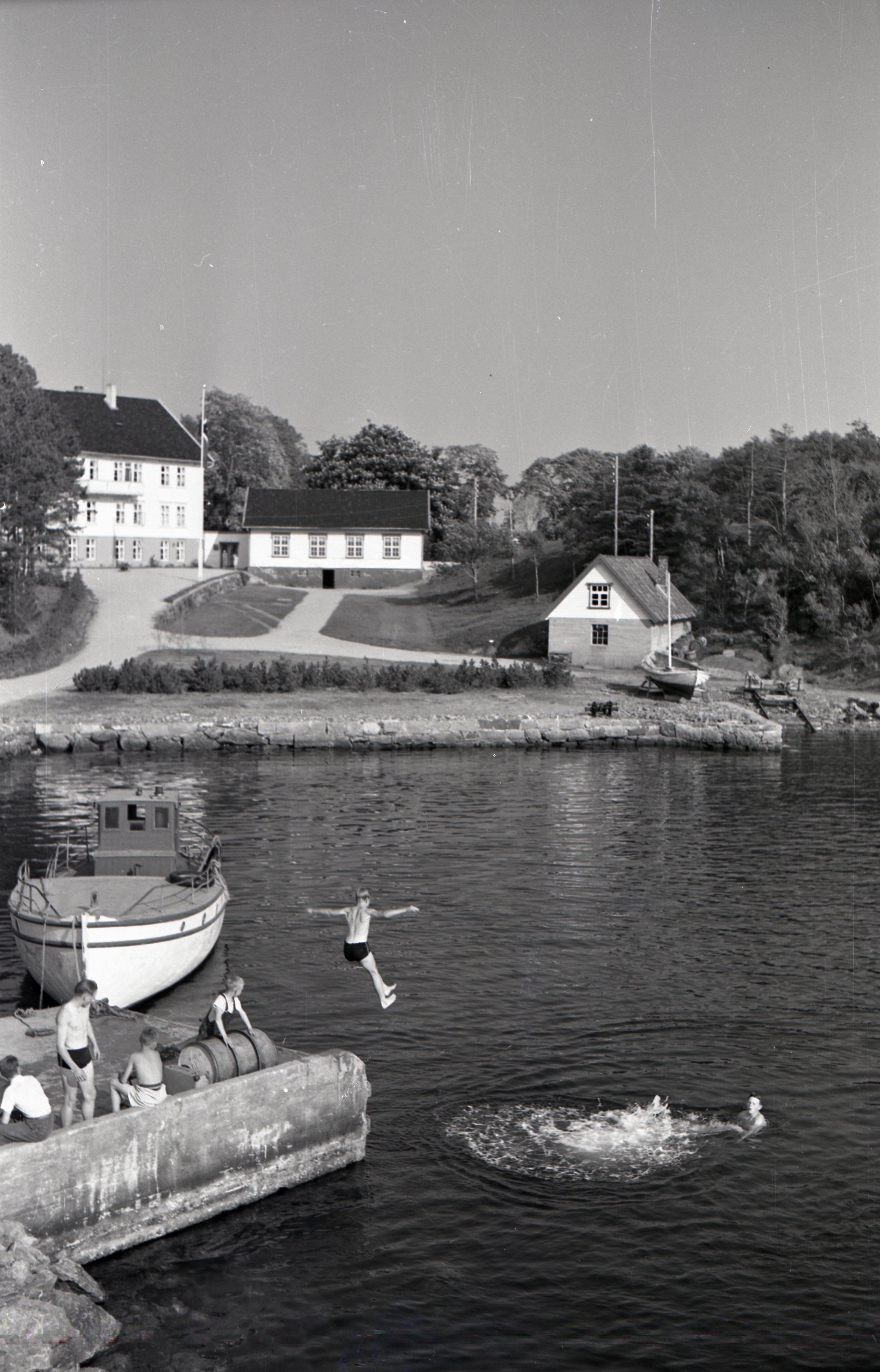 SAS1981_7_44279
