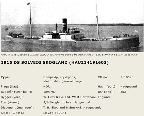Solveig_skogland_bilde