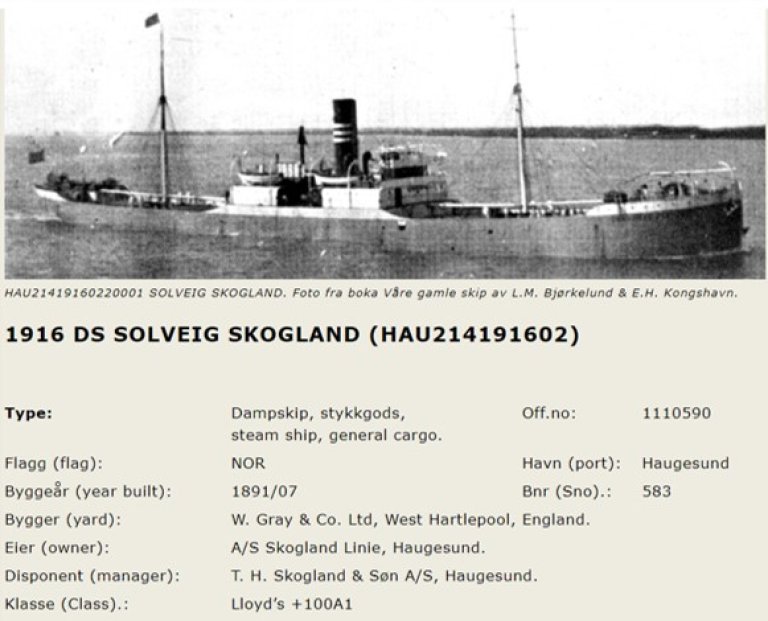 Solveig_skogland_bilde