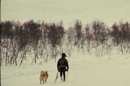 Guođoheaddji ja beana/ Reingjeter med hund. Foto: Erik Borg