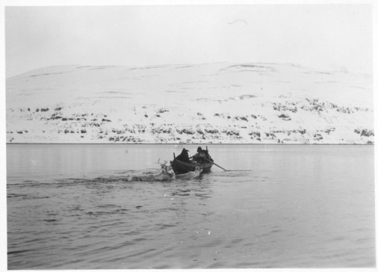 Rein etter båt. Foto Norges Samemisjon