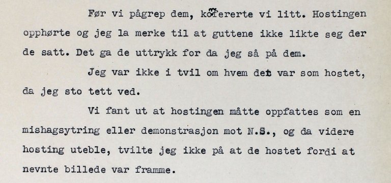 Fra politirapporten. Nord-Jarlsberg politikammer, justissaker nr. 246.