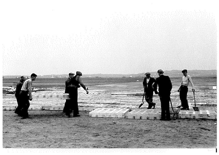 Norske arbeidarar legg på plass flyplasslemmar. Lemmane målte ca. 186x135 cm. Dei var laga av kraftig trevirke og danna underlag på rullebanane. RAFA-3309-47-2-37.
