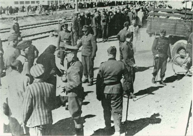 Sortering av jødar på Auschwitz jernbanestasjon 1944. Framst nede til venstre ein jøde i stripete fangeklede. Han bistår truleg tyskarane i arbeidet. Like over han ei mørkkledd jødisk kvinne som blir vurdert saman med eit lite barn som står like til høgre for henne. Biletet blei teke av ein SS-offiser i 1944. Fotografiet viser ikkje deporterte jødar frå Noreg, men situasjonen etter at dei var komne fram til leiren var truleg omtrent den same. RA/PA-1209 NTBs krigsarkiv/Ug/155/Auschwitz.