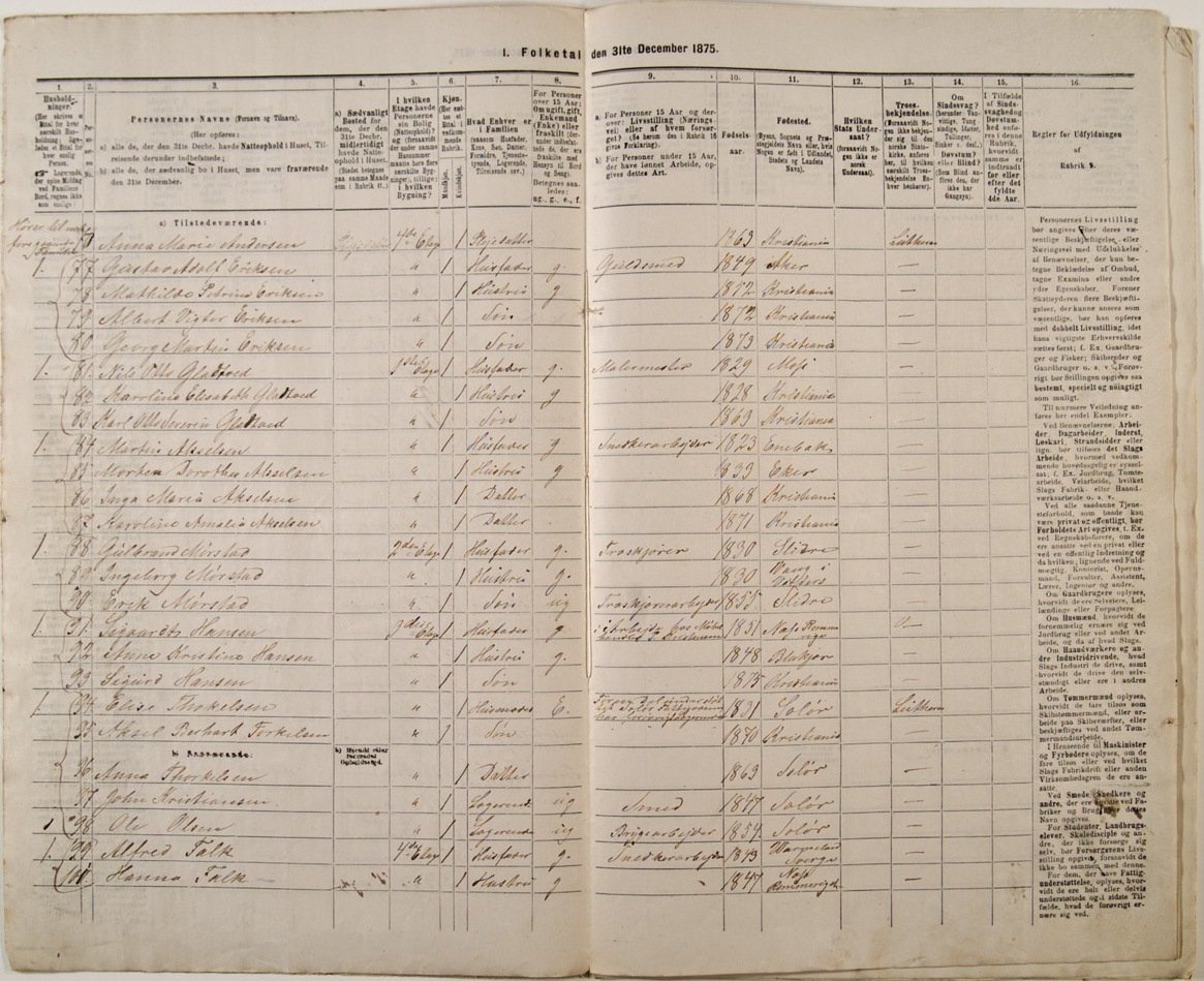ft1875_gulbrand