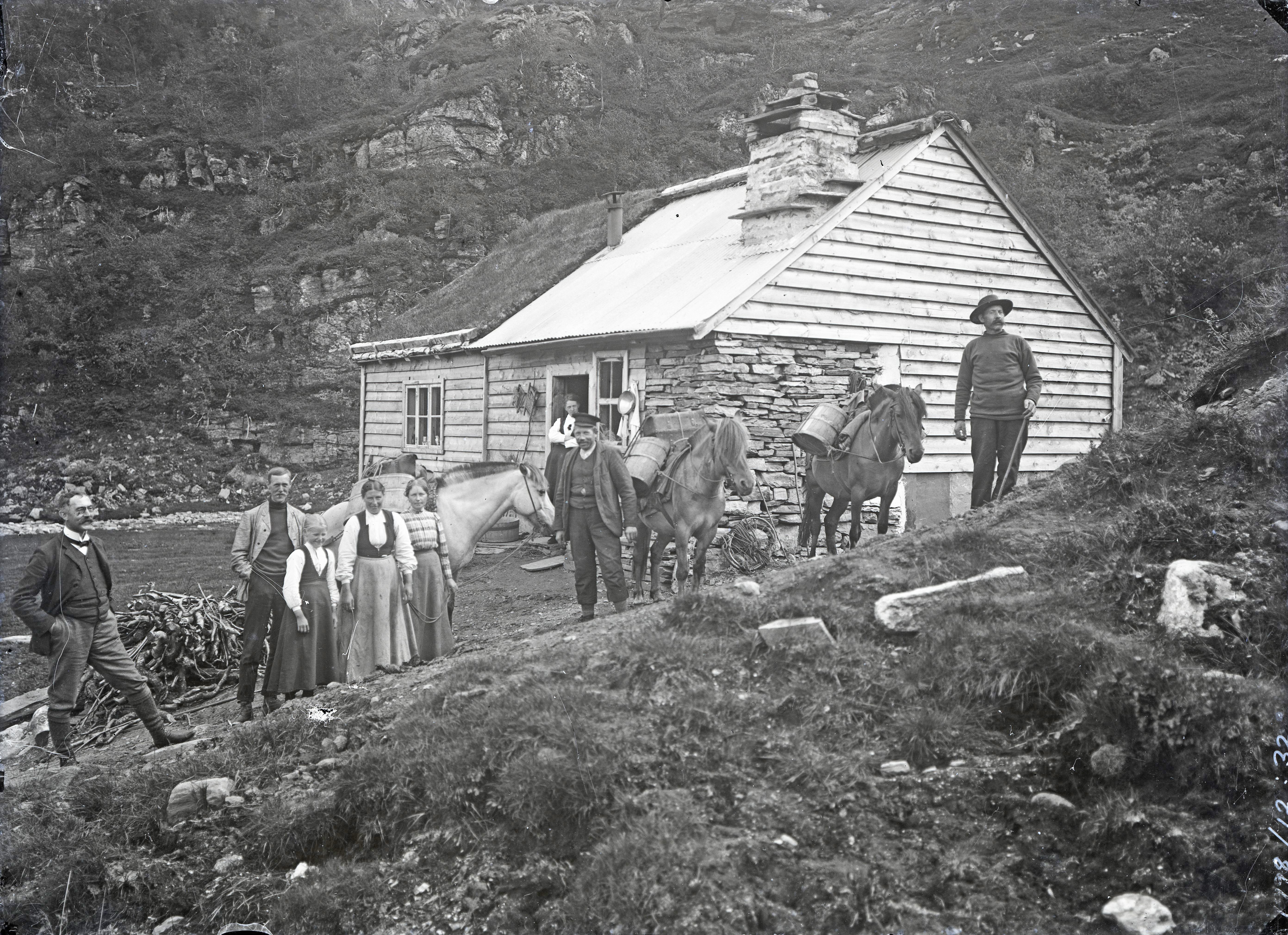 Figur 5 Turfølge og budeier ved Dyrevadleger, Sotabotnen