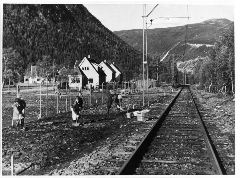 Telemark ny - Kopi2