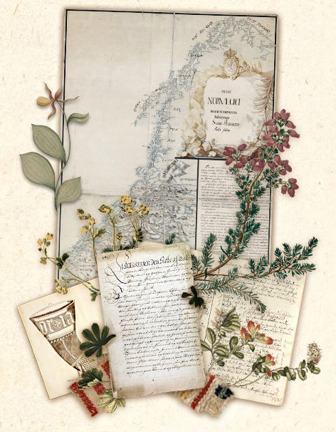 Norge i 1743